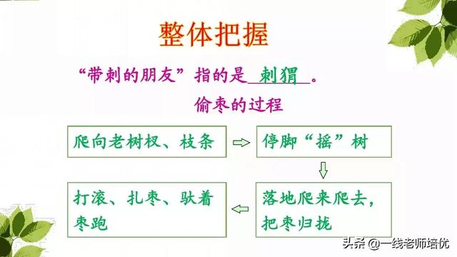 诡秘的近义词是什么，诡秘的近义词（部编版三年级上册第23课《带刺的朋友》重点知识+课文解读）