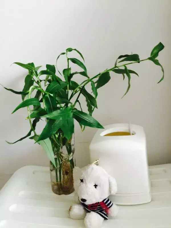 塑料瓶制作花瓶100种，塑料瓶怎么制作成花瓶（旧塑料瓶DIY成手工花瓶）