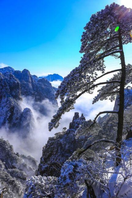 松的诗句，梅的诗句有哪些（待到雪化时—那些关于松与雪的诗词）