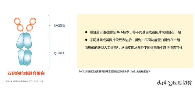 红斑狼疮是免疫系统太强还是太弱，红斑狼疮是因为免疫系统太强吗（是免疫系统这个细胞在“作妖”）