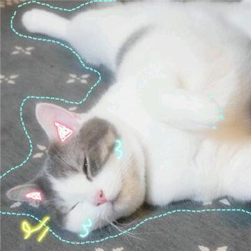 兔子情头，微信头像，兔子情头（杂图情头+男女生头像‖能够遇到你）