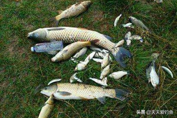 秋季钓鱼的技巧和方法，秋季钓鱼的技巧和方法简单（注意这四个技巧变化）