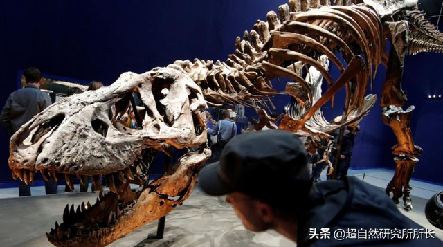 海底最深处的生物，10000米恐怖深海鱼（南极深处真的存在巨大的生物吗）