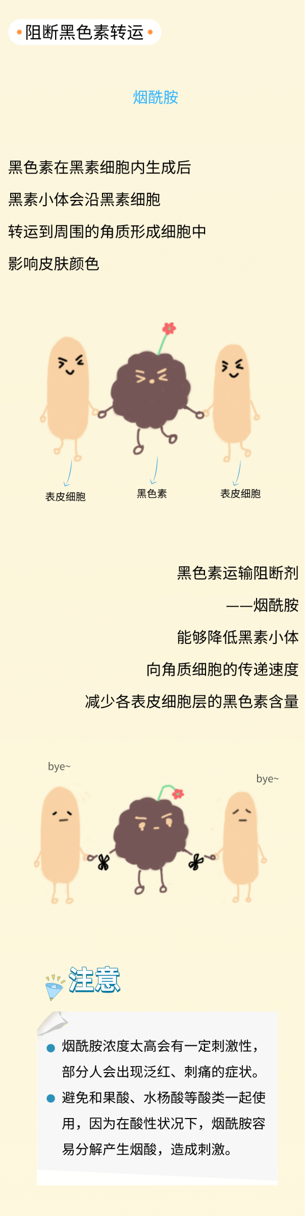 美白的有效成分，美白成分最有效的成分（想要美白，赶紧了解这些成分）