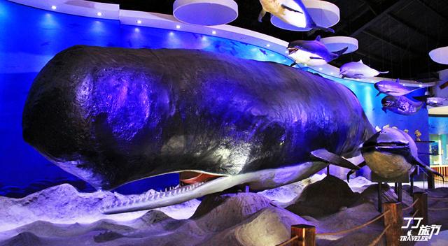 青岛有几个海底世界，青岛海底世界有几处（是有着中国最大的海底世界吗）