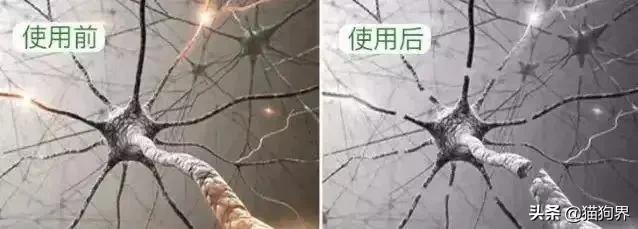 螨虫最怕的土办法，家里老人小孩老过敏