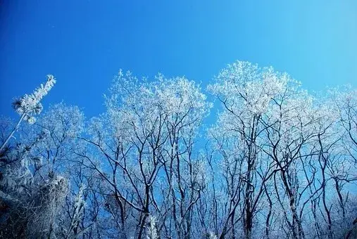 在古代可以用什么词代替雪，在古代对雪的称谓还有哪些（看看古人对雪的24种雅称）