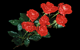 七月七日是情人节吗，每个月十四号都是什么情人节（今天是7月7日情人节）