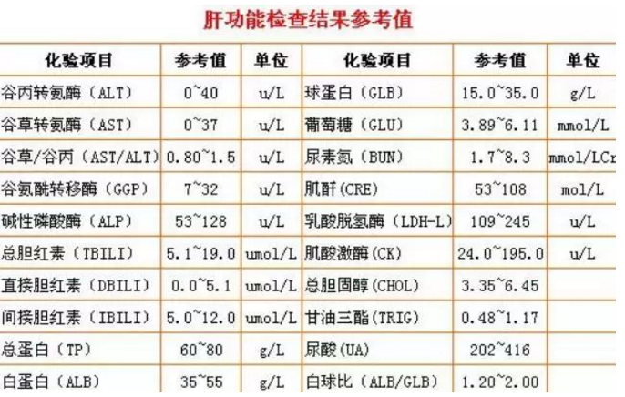 乙肝携带者的乙肝两对半检查结果(乙肝检查怎么看结果)