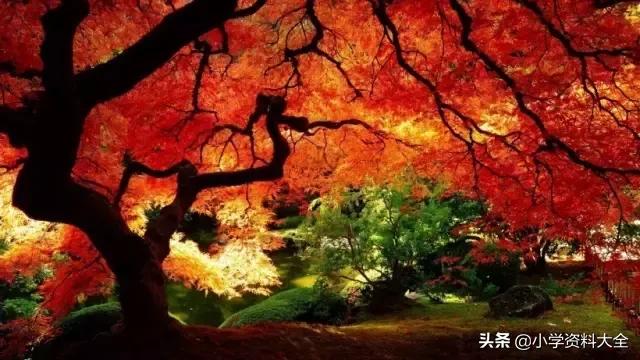 跟秋天有关的词语，与秋天有关的词语（关于秋天的好词、好句、好段、好诗）