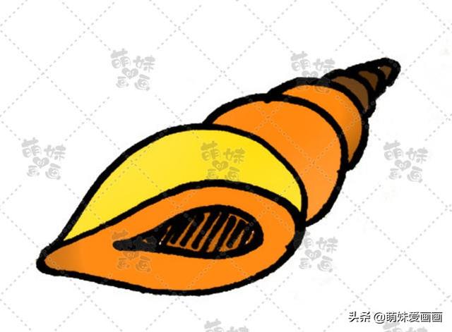 海洋生物简笔画，海洋生物简笔画图片（学画可爱的海洋生物简笔画）