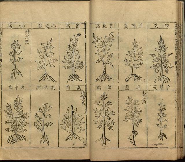 本草纲目全书带图，李时珍本草纲目全书（李时珍著《本草纲目》附图卷）