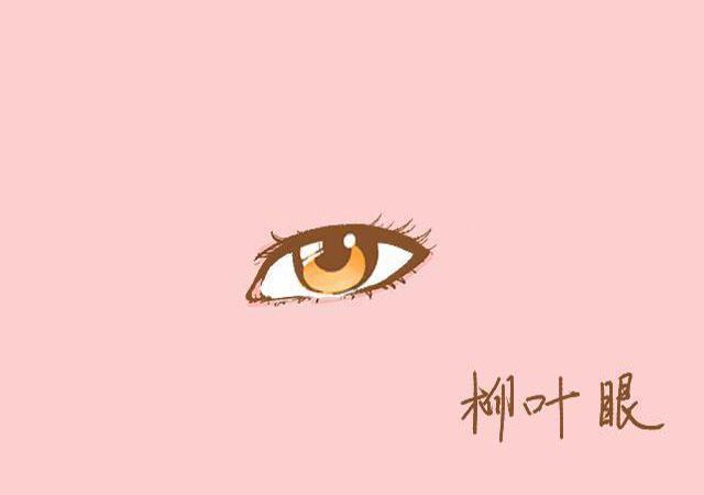 眼型大全名称及图片，最迷人的六种眼型图（这6种眼型很好看）