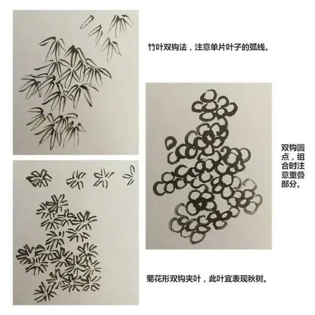 树叶的画法，树叶的画法简单（学会画国画叶子很简单）
