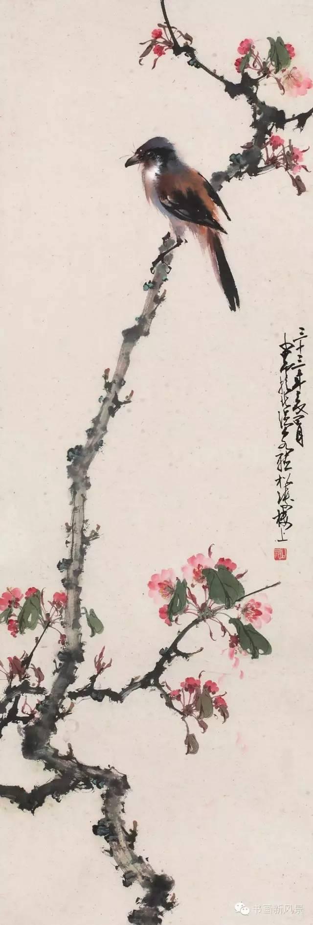 花鸟草虫大全，赵少昂花鸟草虫精选66幅