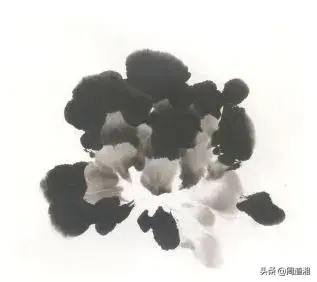 牡丹花头的画法对照表，写意牡丹花头的各种画法