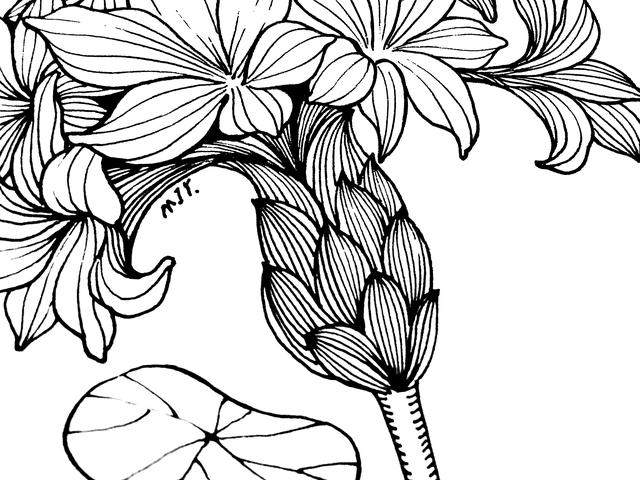 儿童简笔画入门初学技巧，幼儿入门简笔画（简笔画入门，手把手教你画）