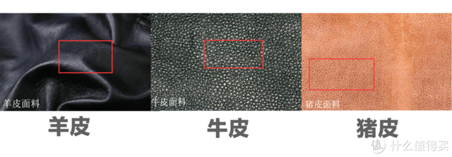 绵羊皮、山羊皮、牛皮等皮衣材质怎样区分，怎样区分皮衣是山羊皮还是绵羊皮（不知道怎么选购皮衣）