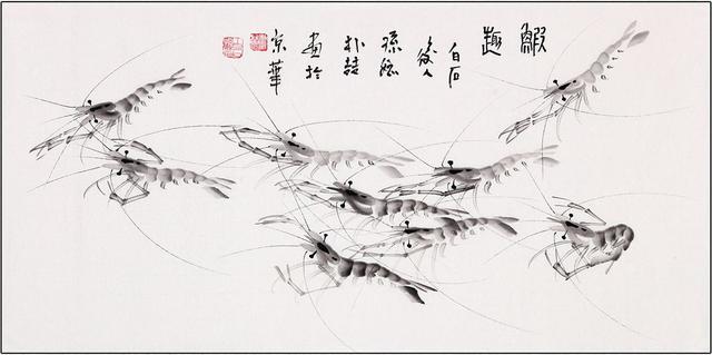 北极甜虾和普通虾的品种区别，如何鉴别对虾、罗氏虾、北极甜虾……一文解决“虾”认识