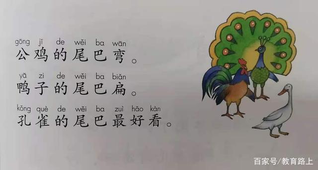 尾巴怎么读，polya尾巴怎么读（一年级《6比尾巴》教师笔记）