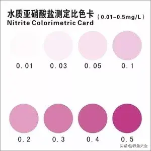 鹦鹉鱼死前征兆，红鹦鹉鱼会不会撑死（让观赏鱼死亡的水中杀手）