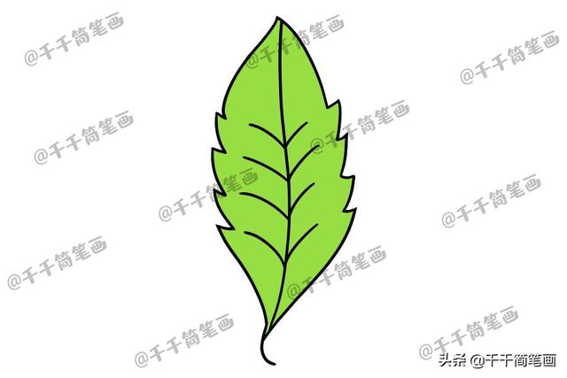 简笔画卡通小植物，很适合拿去教小朋友