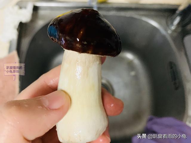 姬松茸的功效与作用及食用方法，松茸的功效与作用及营养（虽然不是松茸）