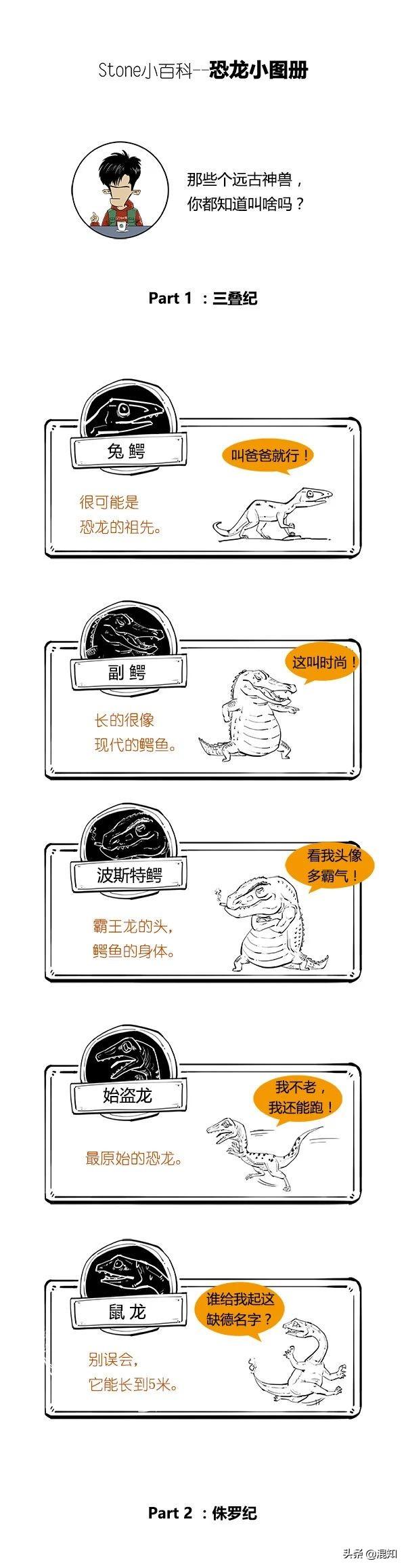 恐龙名字及图片大全，恐龙名称大全（对恐龙的了解还不如三岁小孩）