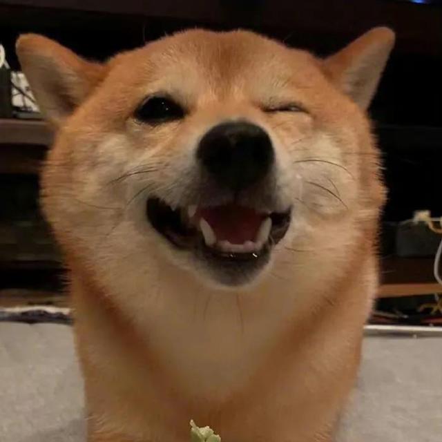 可爱的笑容，微信头像，可爱的笑容（单身狗子头像自拍）