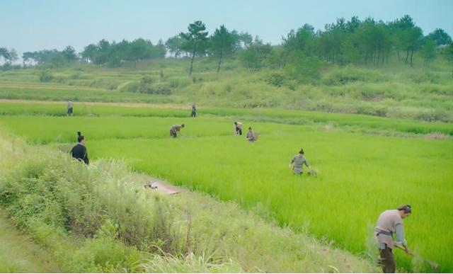 古代真的有轻功吗，古代真的有四大名捕吗（古代大多数人都会“轻功”）