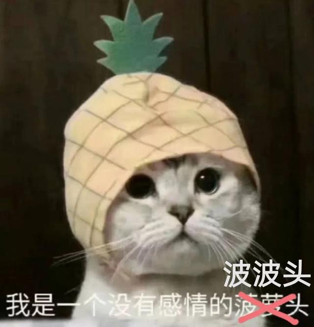 喜茶什么好喝的推荐，喜茶哪个口味最好喝（最好喝的都在这里）