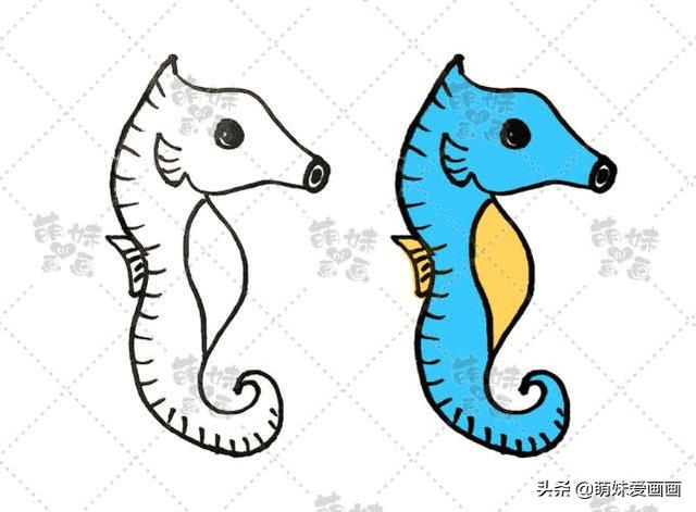 海洋生物简笔画，海洋生物简笔画图片（学画可爱的海洋生物简笔画）