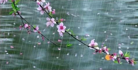 闰四月兆年慌是什么意思，闰四月灾年吗（闰四月又恰逢两头春）