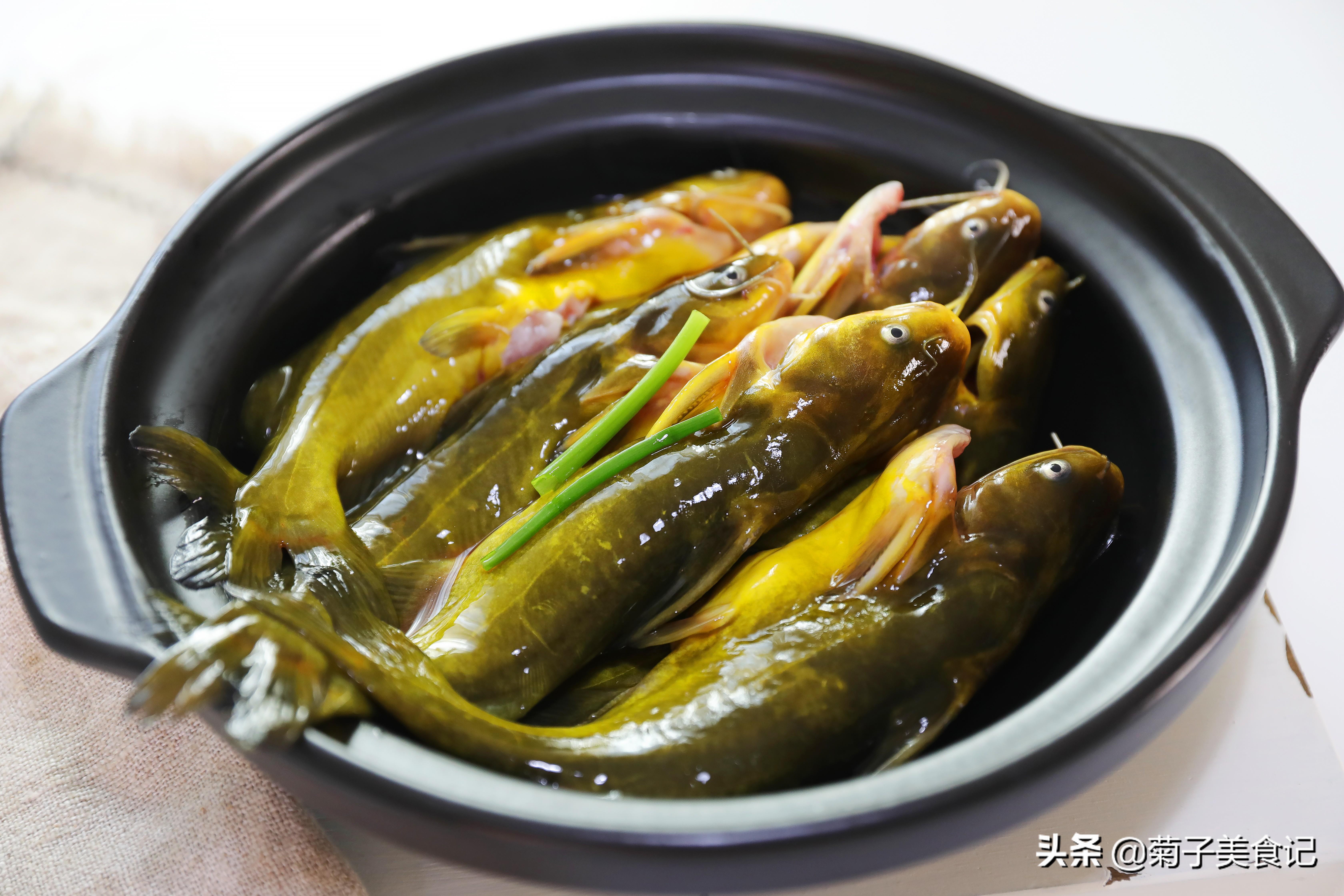 黄颡鱼的做法(黄辣丁这样吃才过瘾) - 去钓鱼