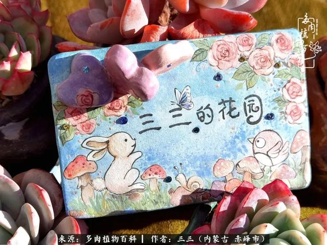 雪候鸟是什么意思，雪候鸟歌词表达什么意思（多肉于我从来不是锦上添花）