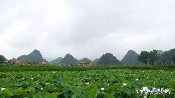 云南普者黑旅游攻略，云南省普者黑风景区旅游攻略（一处鲜为人知的神秘旅游景点——普者黑攻略）