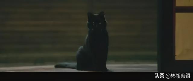 章子怡葛优袁泉上海话演的电影，葛优章子怡袁泉合拍的电影（章子怡破尺度出演）