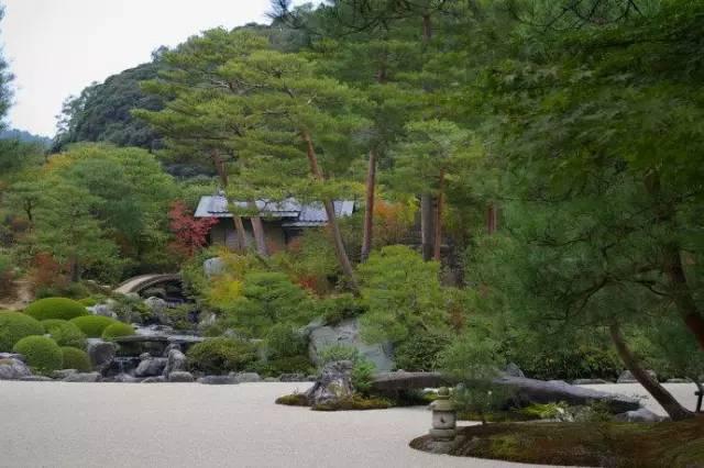 日式园林植物配置浅析，铃木摩托车
