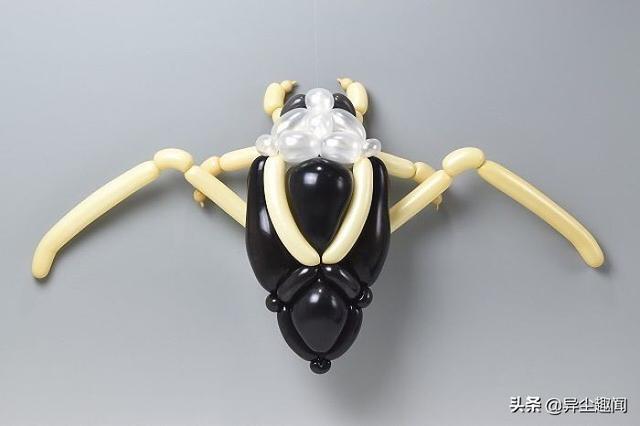用气球做小动物教程，教你用气球做小狗的方法（日本艺术家用气球制作了令人难以置信的动物模型）