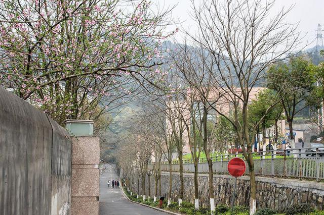 浙江外国语学院地址在哪里，浙江外国语学院校址在哪里（浙江省内唯一一所公办外语类全日制普通高等学校）