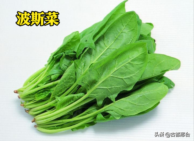 什么是卷心莴苣，卷心莴苣图片（古代邢台人最爱吃的几种蔬菜）