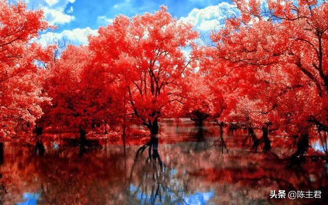 电脑好看的壁纸，10个最佳电脑壁纸（这56张绝美风景）