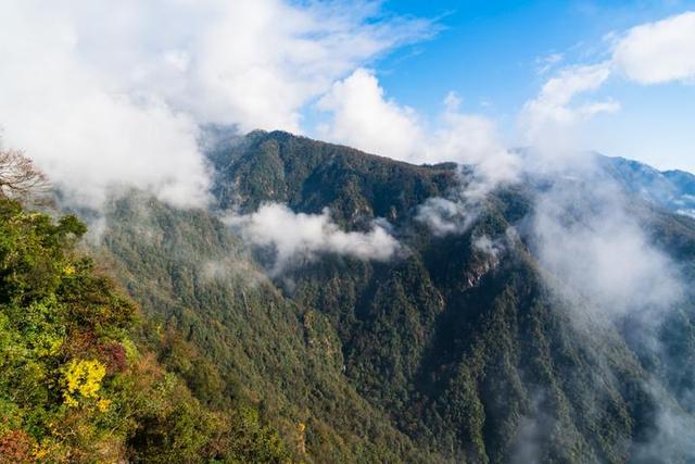 梵净山在哪里呢，梵净山在哪里个省哪个市（北半球最古老的生态乐园）