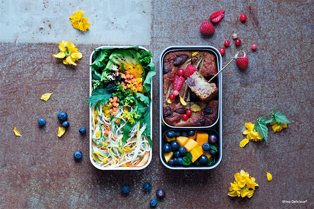 微波炉专用饭盒，哪种饭盒可以放微波炉（5款颜值高又能进微波炉的便当盒）