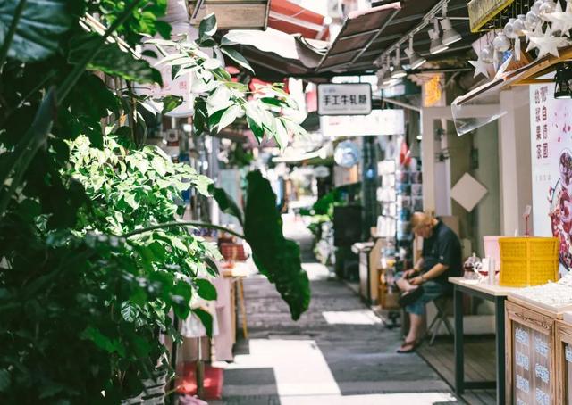 上海田子坊有什么好玩的，上海类似田子坊的地方可以逛的（救救田子坊！别让它消失）