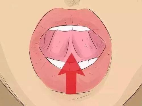 舌尖顶上颚能变漂亮吗图片