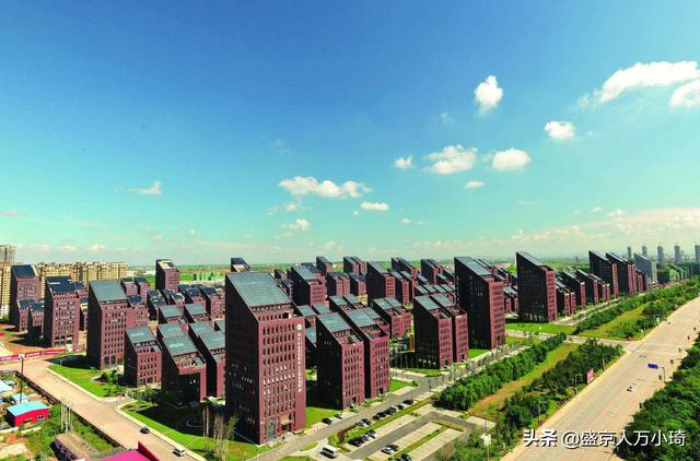 沈阳青年大街属于什么区，沈阳青年大街位置（沈阳青年大街上的奇特建筑）