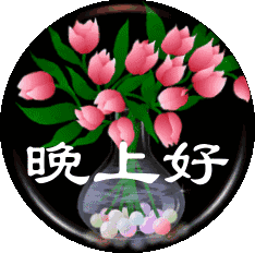 晚上问候语温馨一句话，晚上的问候语温馨的话（晚上好打招呼问候语）