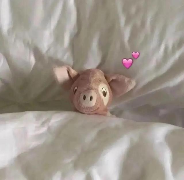 100组沙雕情侣头像，沙雕图片情侣头像（令人眼前一亮的发圈文案）