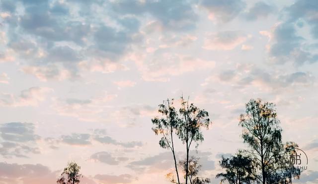 孰能无惑的上一句，孰能无惑的上一句是什么意思（做人，成于三悟，败于三忌）